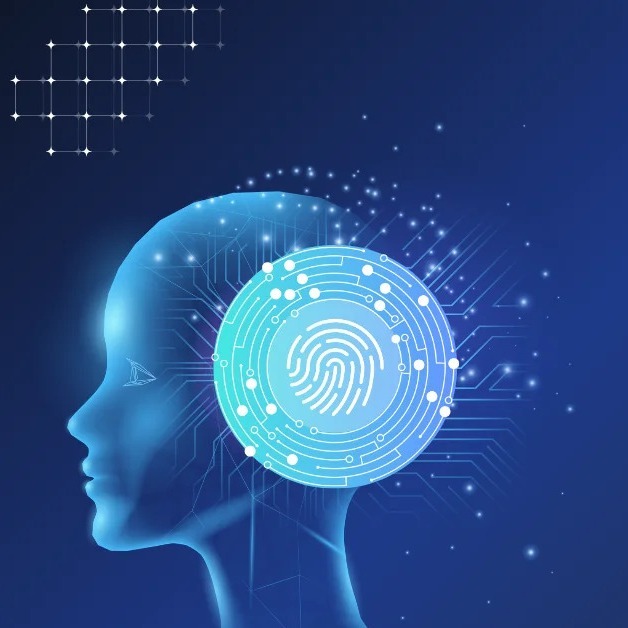 The Future of Trust: Biometric Identity Verification in Agentic AI